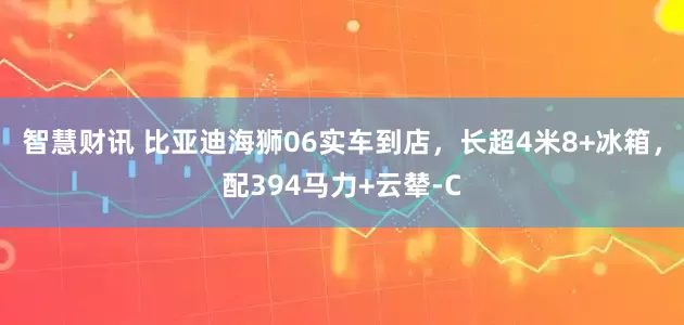 智慧财讯 比亚迪海狮06实车到店，长超4米8+冰箱，配394马力+云辇-C