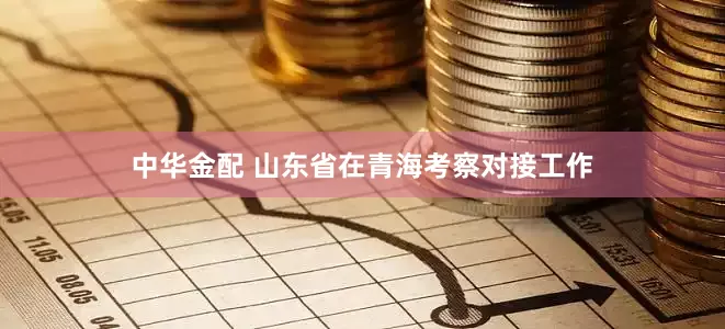 中华金配 山东省在青海考察对接工作