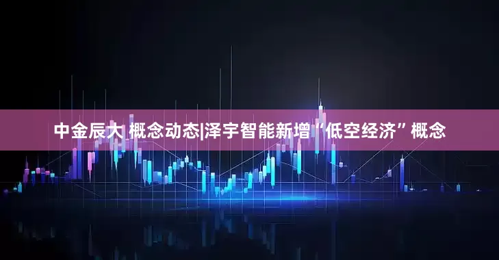 中金辰大 概念动态|泽宇智能新增“低空经济”概念