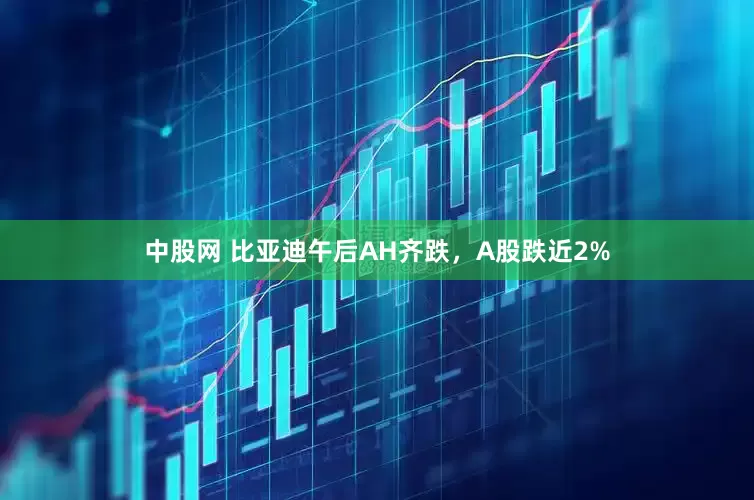 中股网 比亚迪午后AH齐跌，A股跌近2%